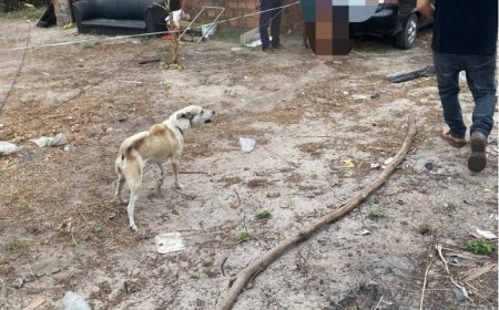 Polícia Civil prende homem suspeito de roubar joia avaliada em 12 mil reais