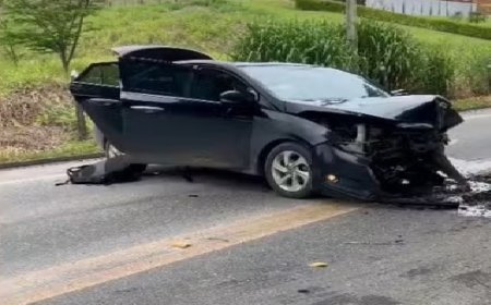Enxame de abelhas invade veículo, motorista bate em árvore e ocupantes pulam em rio