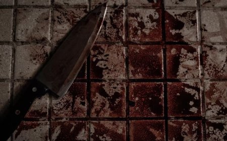 Mulher de 26 anos morre após ser esfaqueada na cabeça por companheiro