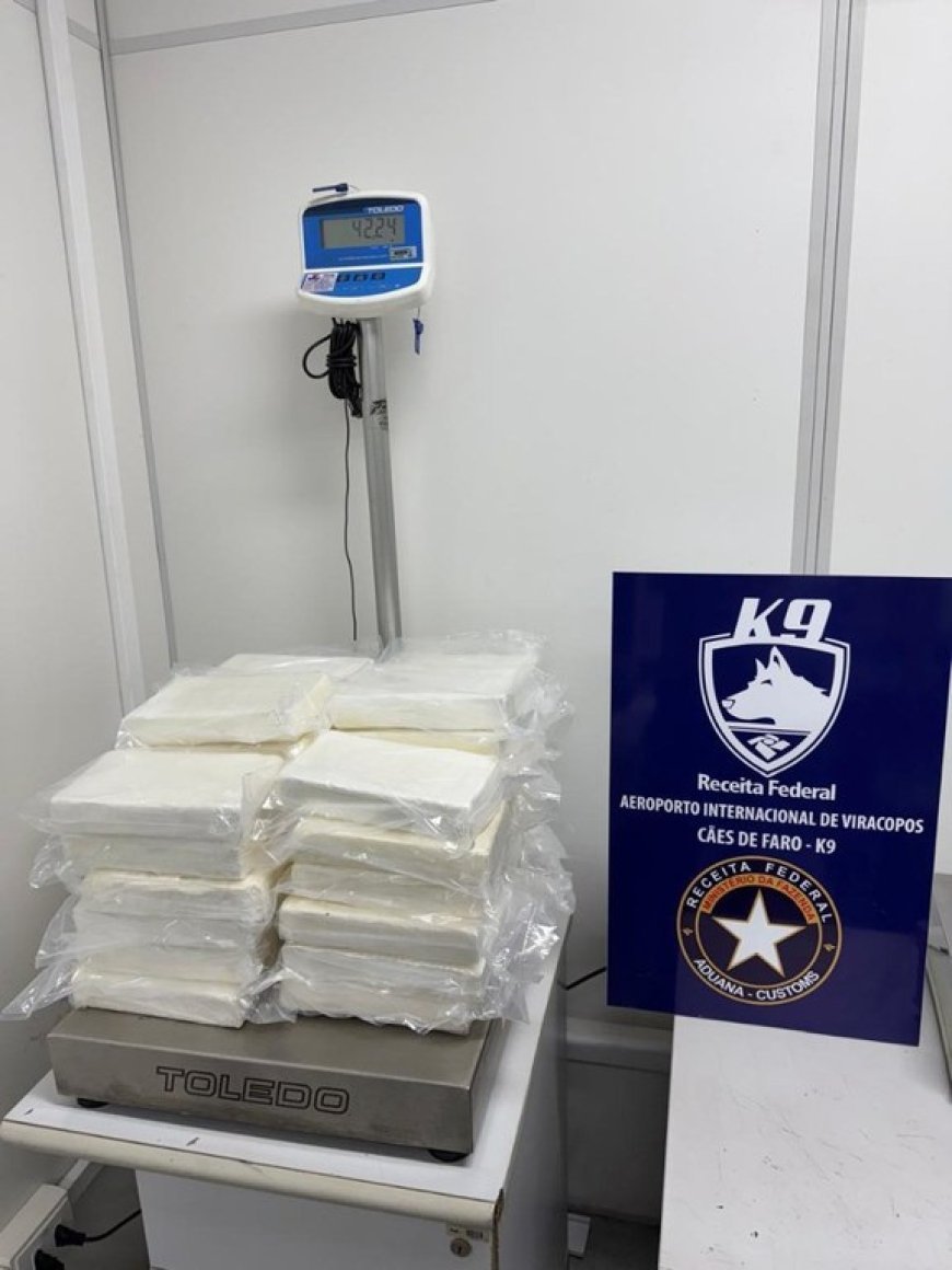 Receita Federal apreende mais de 42 kg de cocaína em carga com destino à Malásia