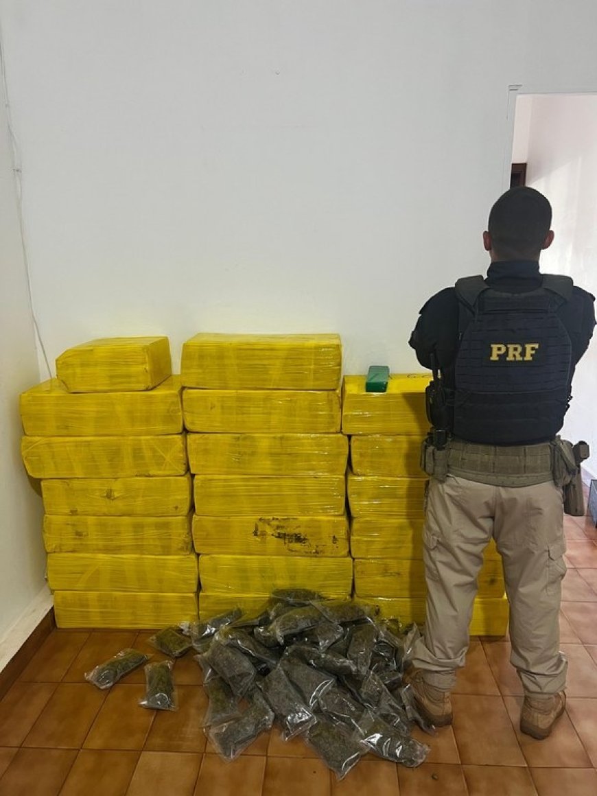 PRF apreende 665 Kg de maconha e recupera veículo