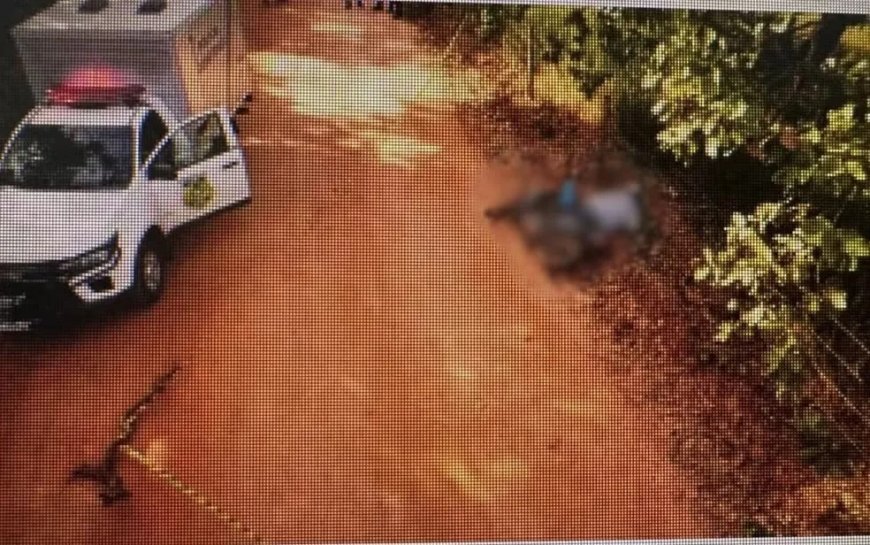 PCGO prende filha e genro por mandar matar vítima para se beneficiarem de herança de R$ 3 milhões