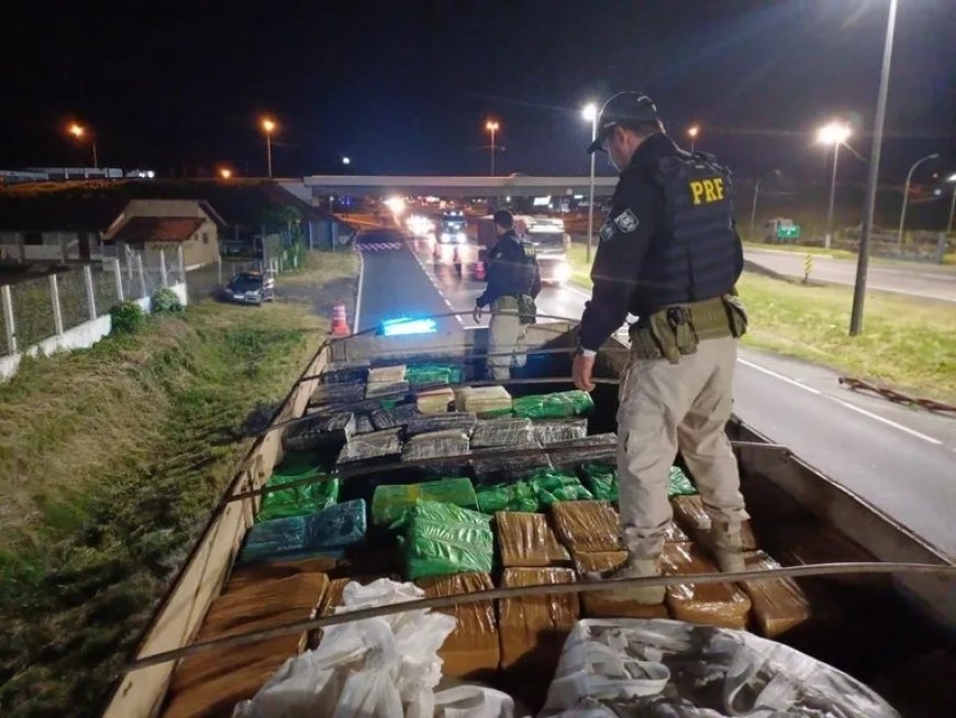 PRF apreende 11 toneladas de maconha em carga de ração para gado; veja