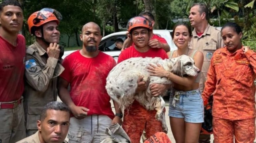 Cachorro da cantora Anitta se assusta com fogos, cava buraco na mansão e é resgatado por bombeiros no RJ