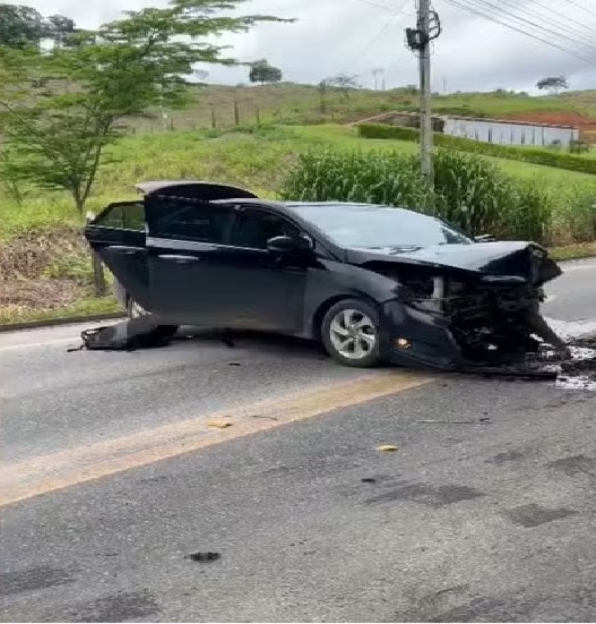 Enxame de abelhas invade veículo, motorista bate em árvore e ocupantes pulam em rio