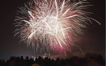 Mulher que alugou chácara terá que indenizar vizinho por morte de cavalo após fogos de artifício