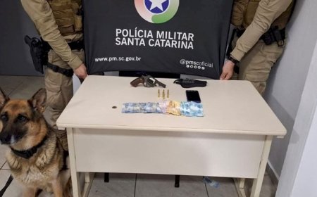 Homem é detido após cão de faro localizar revólver escondido