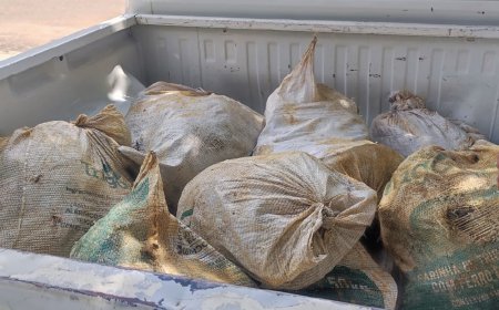 PC-AM e PMAM prendem homem por posse ilegal de tartarugas e tracajás