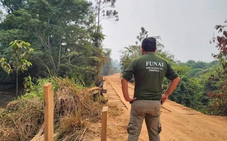 Governo autoriza Funai a contratar 1,9 mil servidores temporários