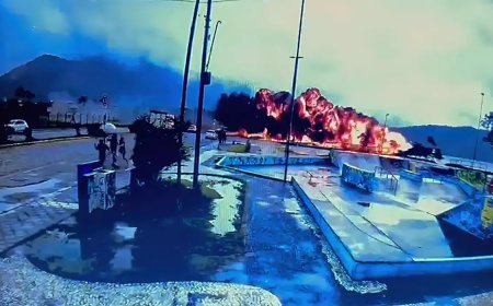 SP: piloto morre após queda de avião em Ubatuba