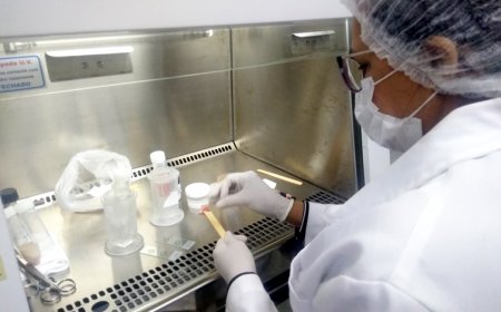 Pernambuco identifica paciente com raiva humana