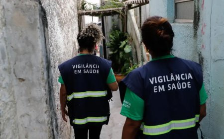 Dengue: 21 cidades paulistas decretam situação de emergência