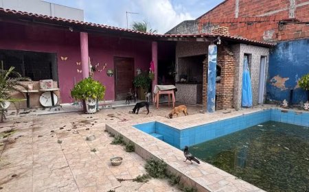 Homem é preso por maus-tratos a animais; seis cães foram resgatados