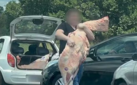 Caminhão carregado de carnes tomba e é saqueado