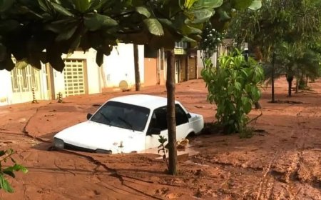 Maioria das mortes por temporais em MG foi por deslizamentos de terra