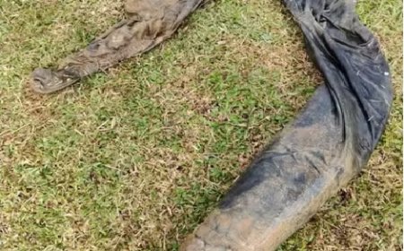 Moradores veem 'corpo' boiando em lago e bombeiros descobrem ser peixe preso em calça, no Paraná