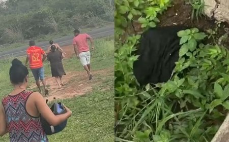 Recém-nascida encontrada em matagal morre em hospital