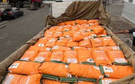 Mais de 170 fardos de sementes falsificadas são apreendidas em Caxias, no MA