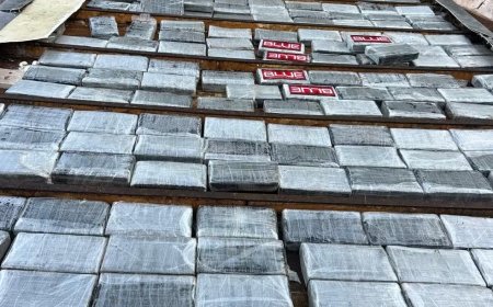 Mais de 400 kg de drogas são apreendidos dentro de caminhão frigorífico em MT