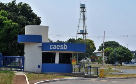 Cabeça humana é encontrada em estação de tratamento de esgoto em Brasília; polícia investiga o caso