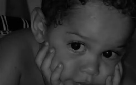 Menino de 4 anos morre após ataque de cães