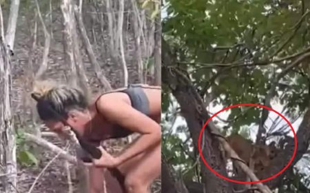 Ibama procura mulher que torturou e matou onça-parda em vídeo que circula nas redes sociais