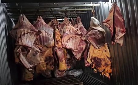 Empresa vendeu 800 toneladas de carne podre submersa na enchente do RS