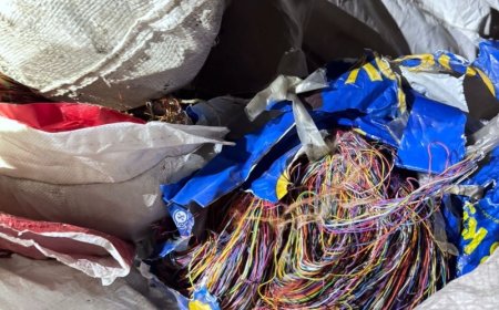 Polícia Civil recupera três toneladas de cabos de telefonia e prende dois suspeitos por furto e receptação