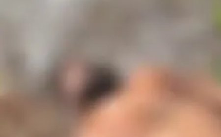 Argentino torturado na Bahia disse que transferiu cerca de R$ 100 mil para sequestradores; nove homens participaram do crime