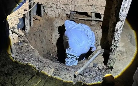 Duas pessoas são presas por homicídio e ocultação de cadáver no MA; corpo da vítima foi encontrado dentro de fossa