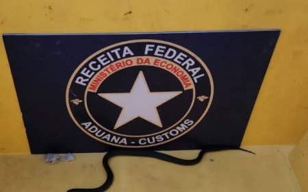 Receita apreende duas cobras da espécie real-mexicana-negra em Fortaleza