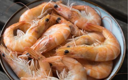 Homem morre após reação alérgica a camarão em Florianópolis