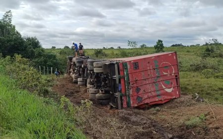 Caminhão Carregado com Cerveja Tomba na BR-316