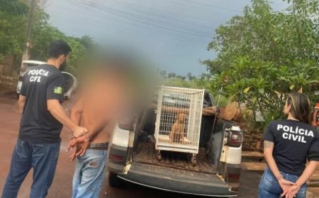Homem é preso em flagrante, após agredir cachorro em sua residência