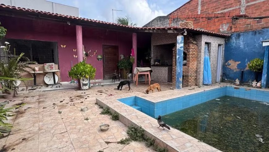 Homem é preso por maus-tratos a animais; seis cães foram resgatados