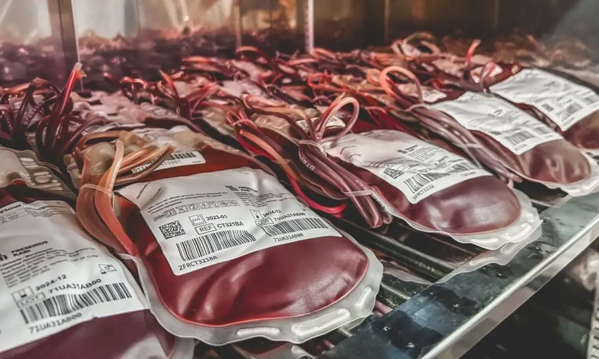 Transfusão de sangue intrauterina inédita é feita em indígena no AM