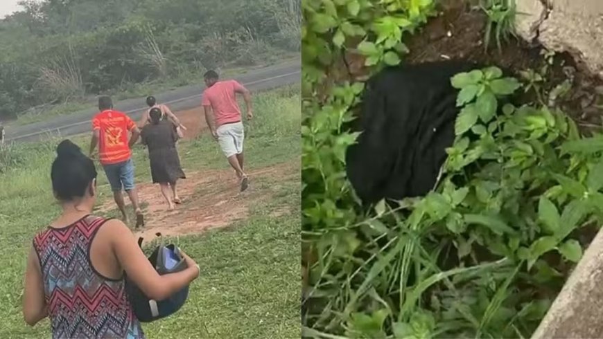 Recém-nascida encontrada em matagal morre em hospital