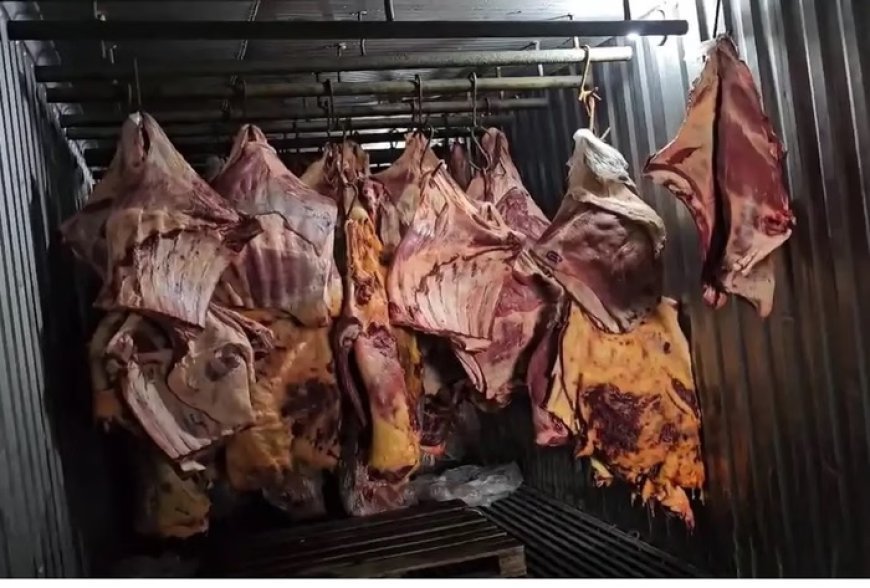 Empresa vendeu 800 toneladas de carne podre submersa na enchente do RS