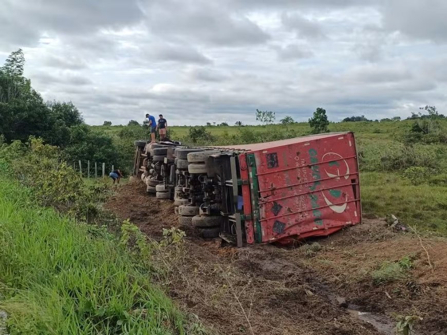 Caminhão Carregado com Cerveja Tomba na BR-316