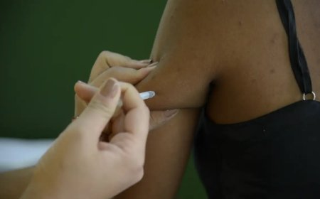 Ministério alerta para alta de casos de febre amarela em 4 estados