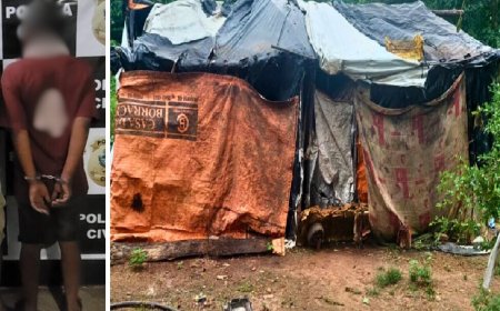 PCGO prende em flagrante homem que tentou matar companheira a facadas