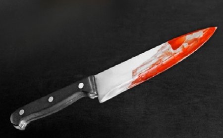 Suspeito de matar vizinhos a facadas é preso após ser encontrado dirigindo carro de uma das vítimas em MT