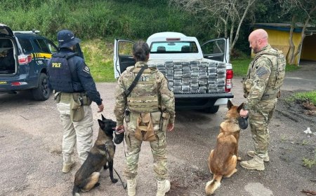 PRF apreende 104 quilos de cocaína em abordagem na BR-476; VEJA O VÍDEO