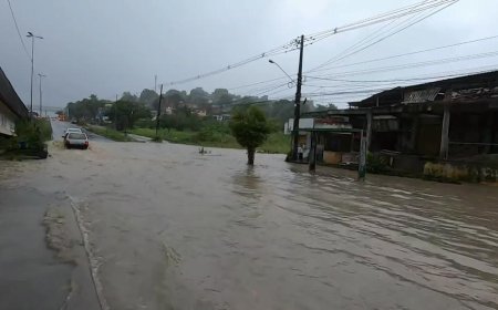 Cidades de Pernambuco e Alagoas estão sob alerta vermelho para chuvas
