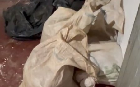 Polícia Civil recupera 400 quilos de pimenta-do-reino seca em Rio Bananal