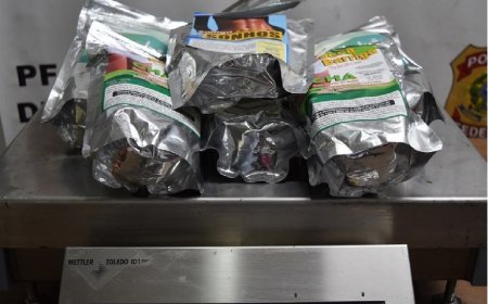 PF prende passageiros com droga dentro do corpo e de embalagens de chá