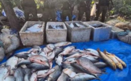 PM apreende 1,2 tonelada de pescado ilegal durante operação