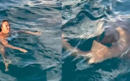 Turista é surpreendida por tubarão nadando ao seu lado