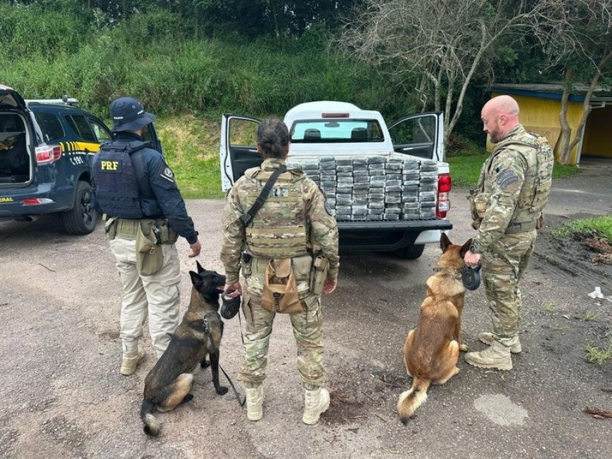 PRF apreende 104 quilos de cocaína em abordagem na BR-476; VEJA O VÍDEO