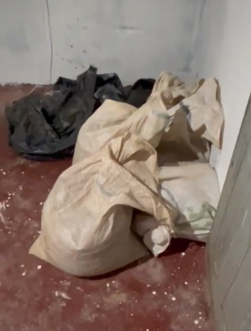 Polícia Civil recupera 400 quilos de pimenta-do-reino seca em Rio Bananal